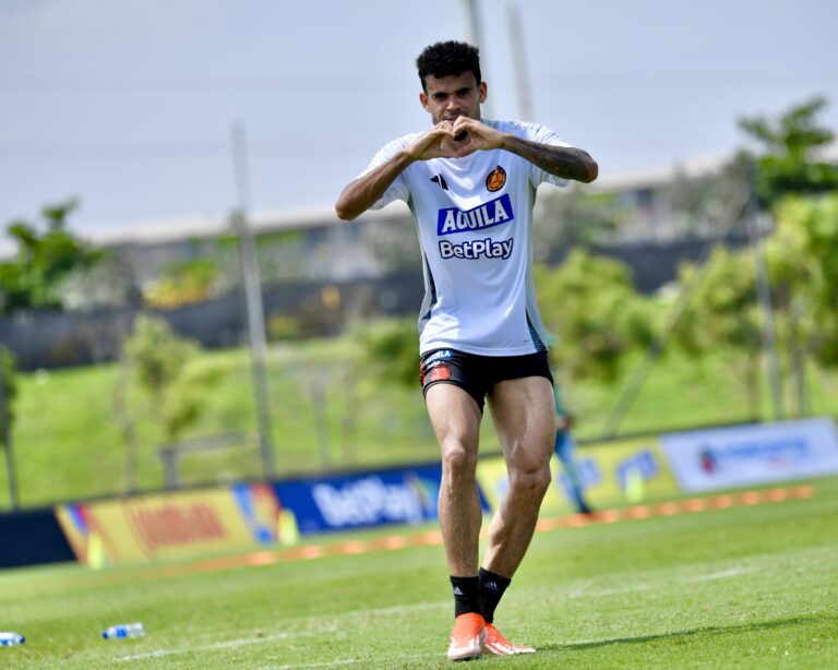 (FOTOS/VÍDEOS) Entrenamiento, Selección Colombia Masculina de Mayores - 2 de junio 2024